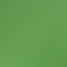 14877053_RAINFOREST