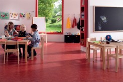 Linoleum Compact