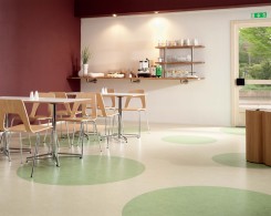Linoleum Compact