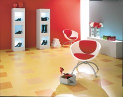 Linoleum Compact