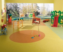 Linoleum Acoustic