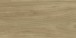 w60025_steamed_beech