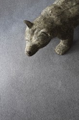 Rolki