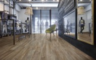 TRANSFORM WOOD