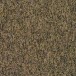 B235 2036 B